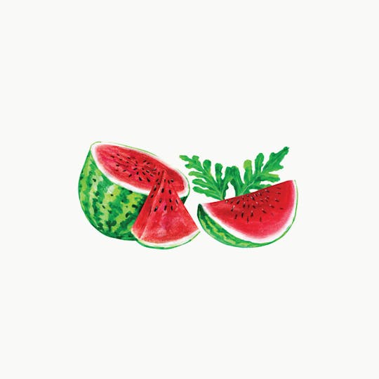 Jolly Greens - 5mg Organic Cane Sugar Watermelon Hard Candy - 1