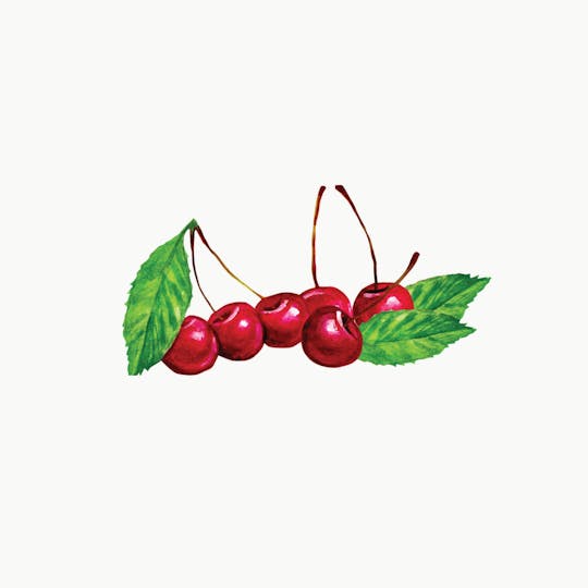 Jolly Greens - 5mg Organic Cane Sugar Wild Cherry Hard Candy - 1