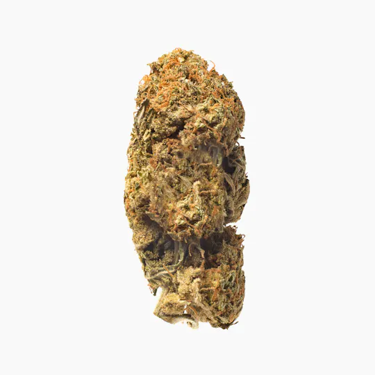 Meeting MaryJane - AK-47 - 1