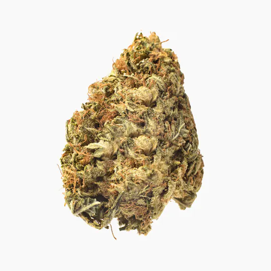 Meeting MaryJane - Alien Rocks - 1