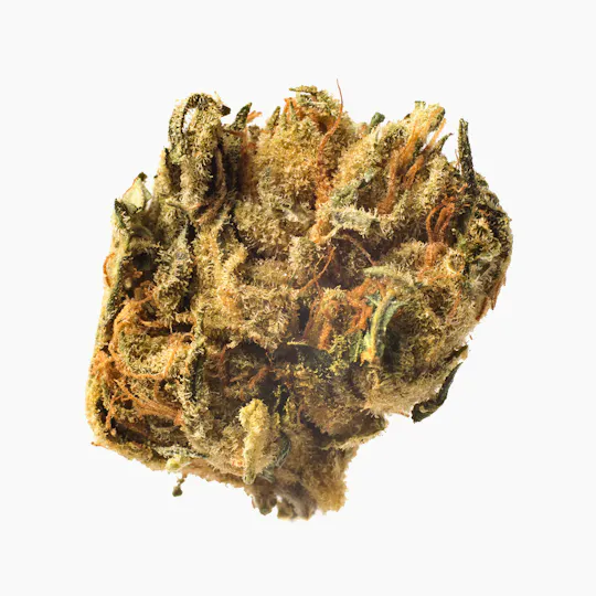 Meeting MaryJane - Bubba Skunk - 1