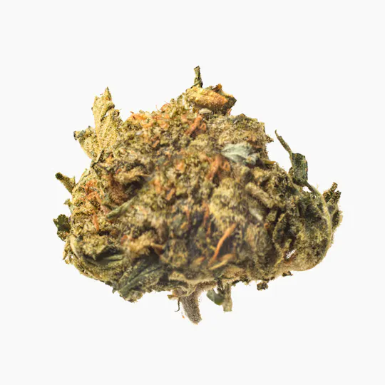 Meeting MaryJane - Bubba Tom Hayes - 1