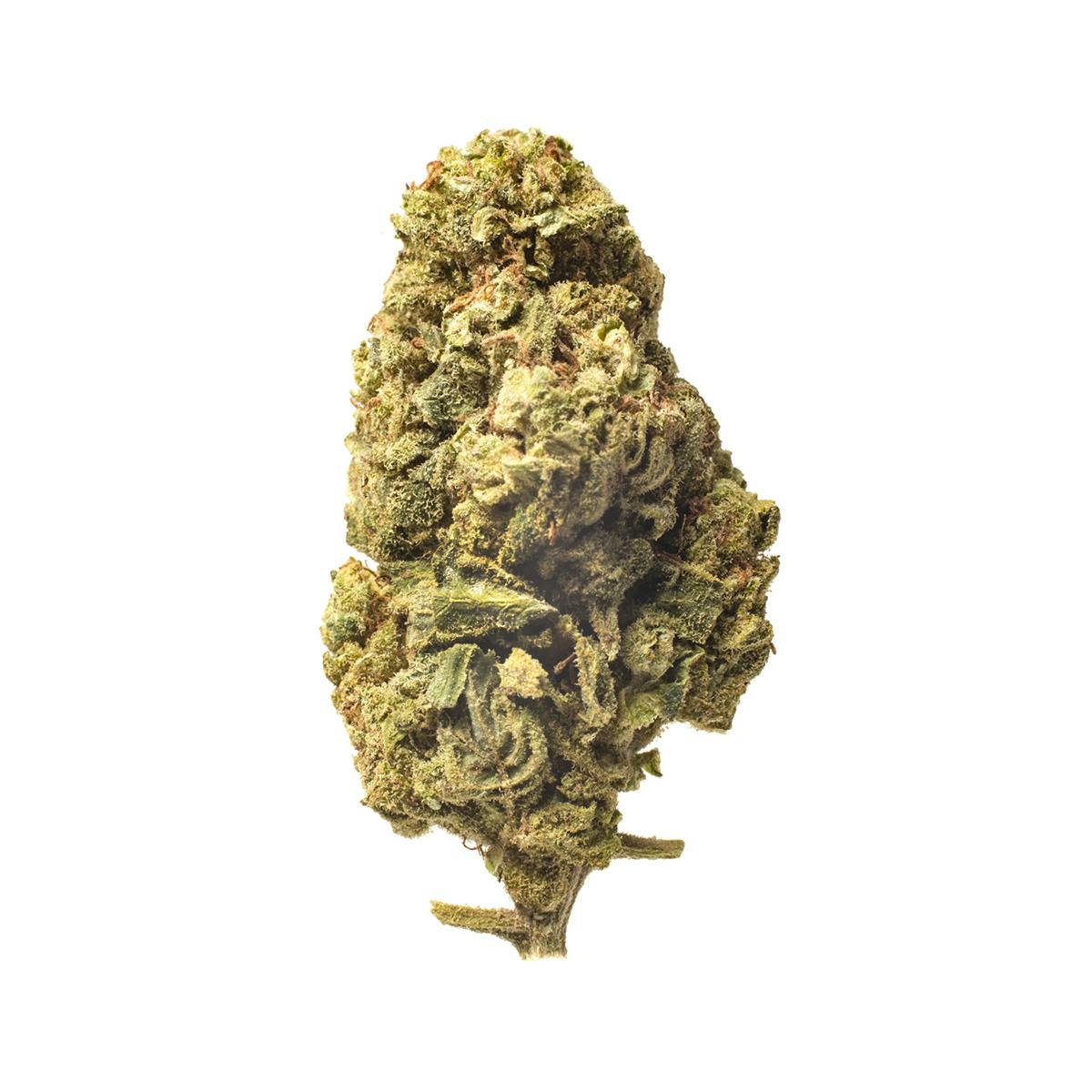 Meeting MaryJane - Fruit Punch - 1