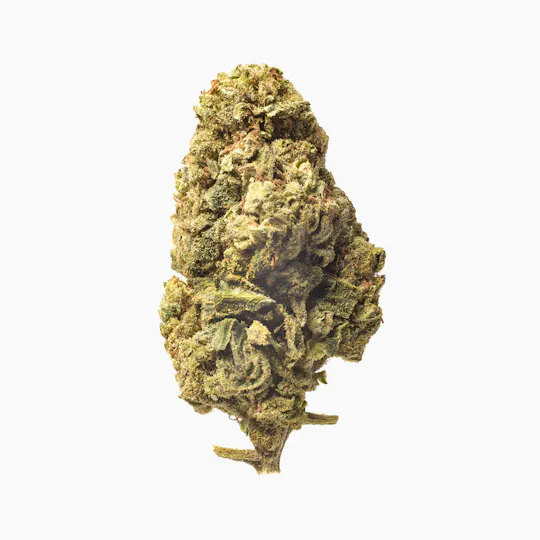 Meeting MaryJane - Fruit Punch - 1