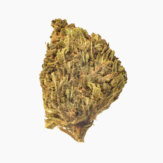 Meeting MaryJane - Goldwing - 1