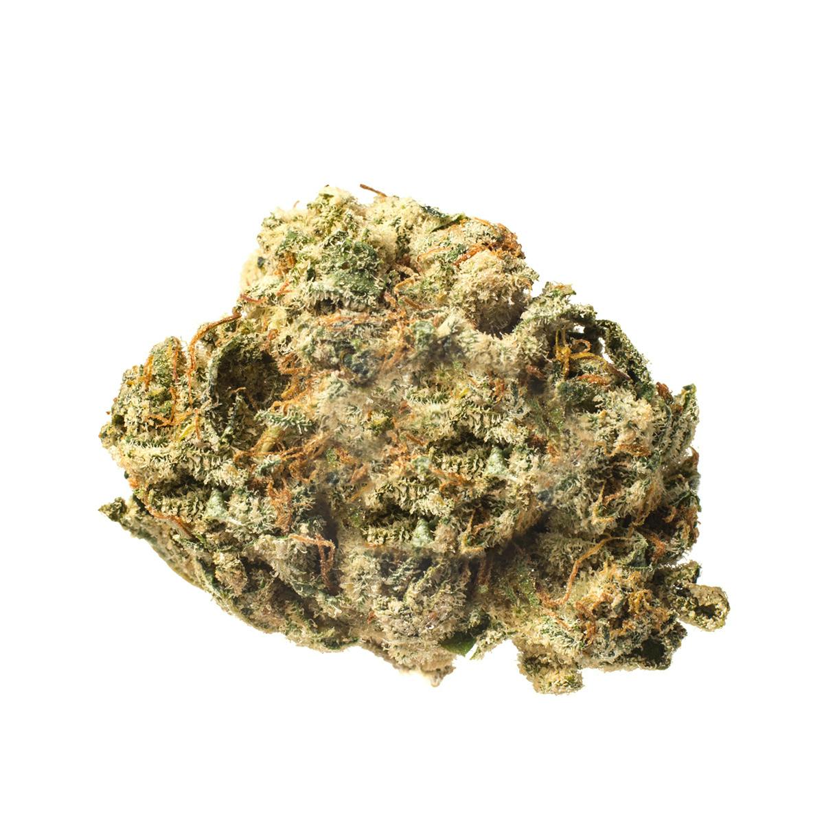 Meeting MaryJane - Gorilla Glue #4 - 1