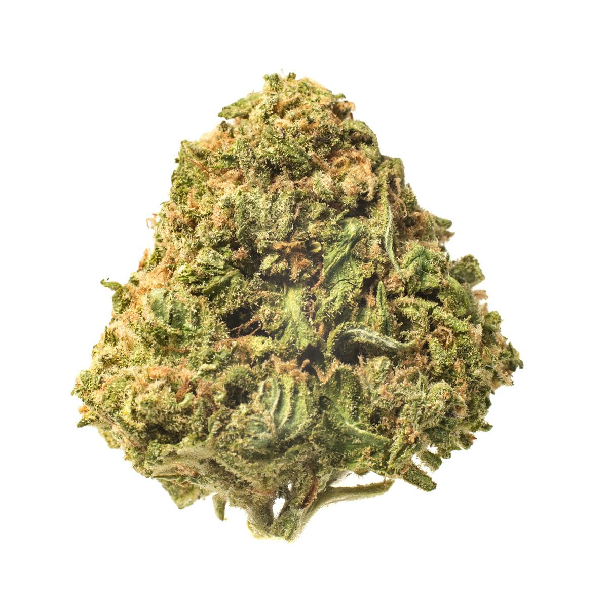 Meeting MaryJane - Grape Ape - 1