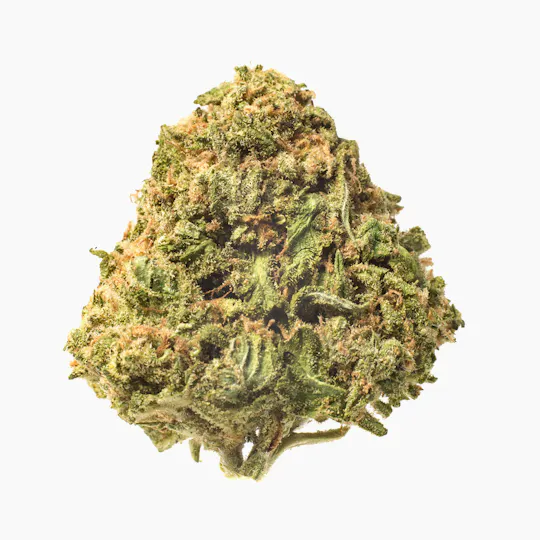 Meeting MaryJane - Grape Ape - 1