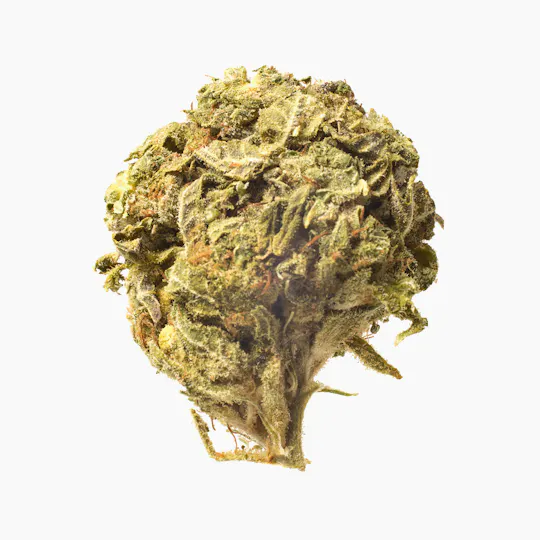 Meeting MaryJane - Jack Flash - 1