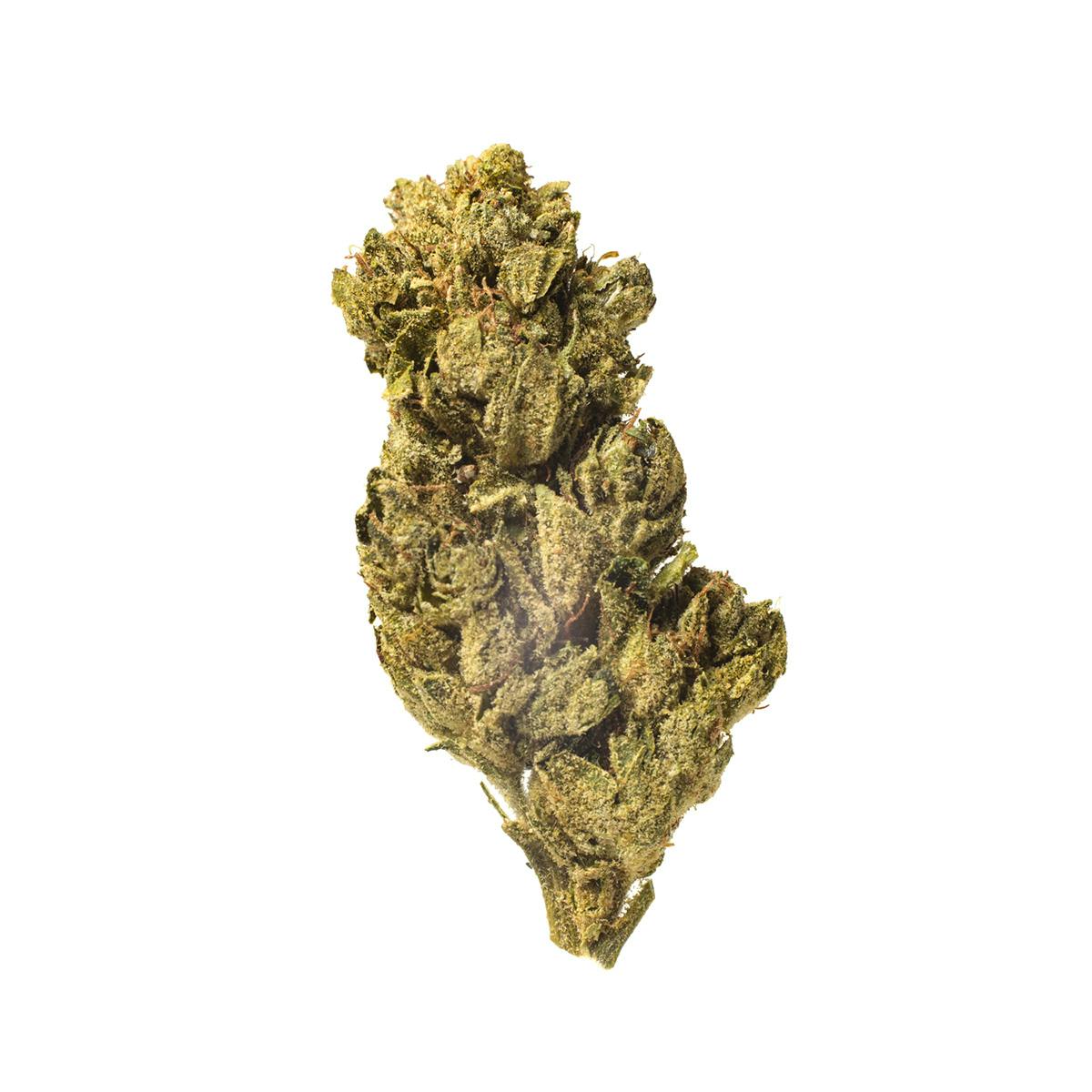 Meeting MaryJane - OG Kush - 1