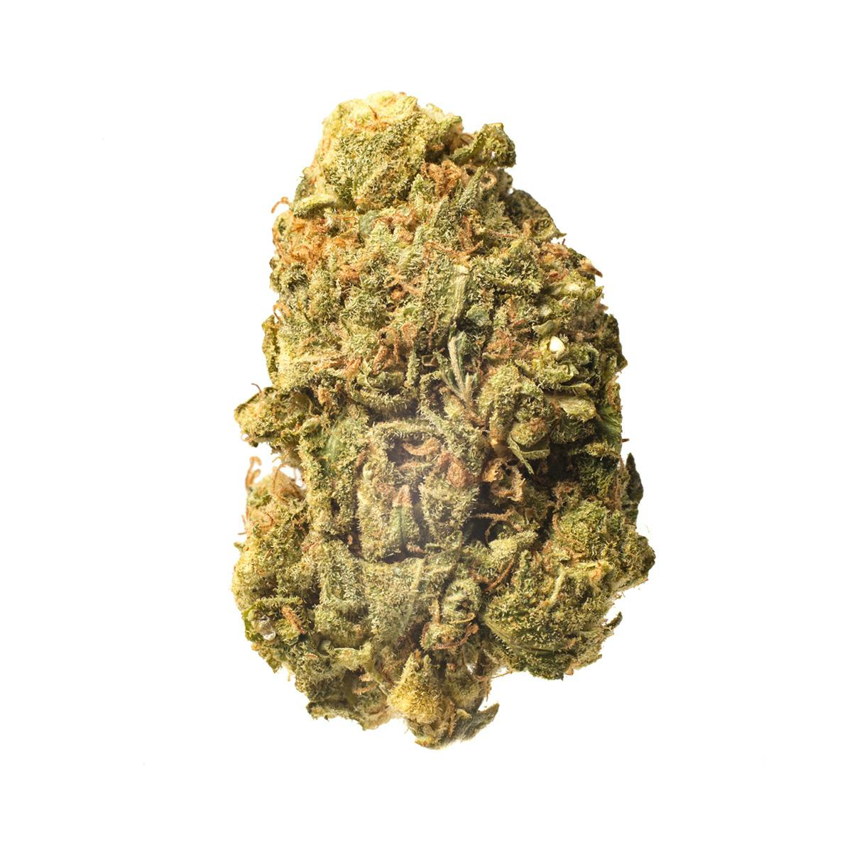 Meeting MaryJane - Orange Cookies - 1