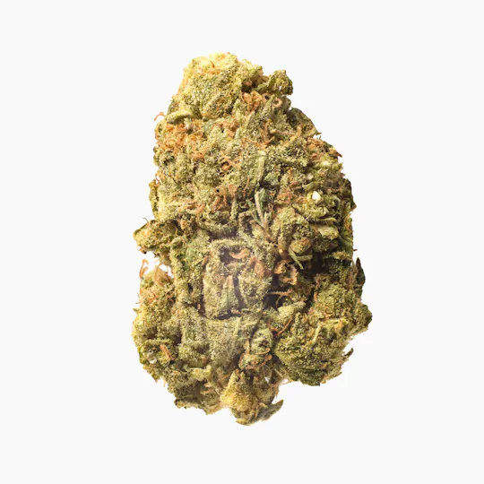 Meeting MaryJane - Orange Cookies - 1