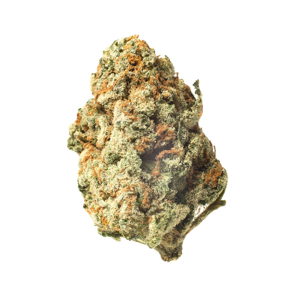 Meeting MaryJane - Orangina - 1