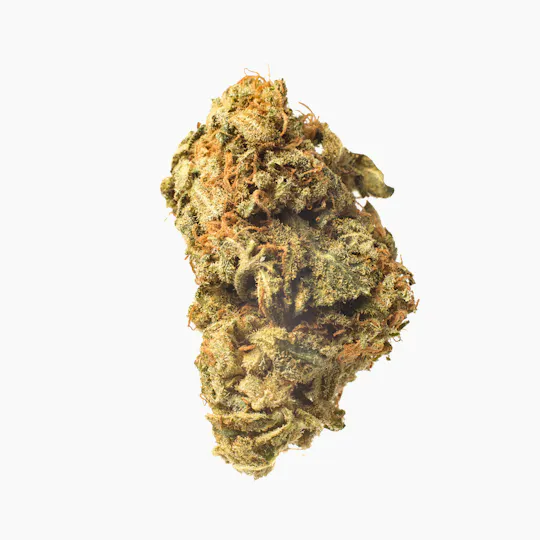 Meeting MaryJane - Platinum Kush - 1