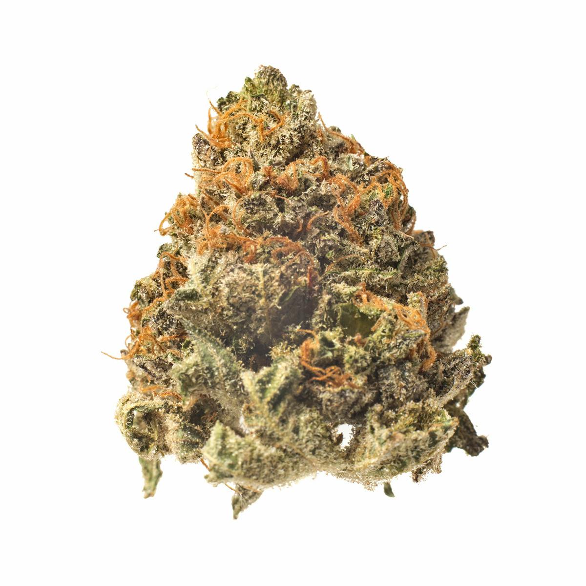 Meeting MaryJane - Purple Crack - 1