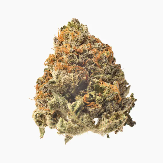 Meeting MaryJane - Purple Crack - 1