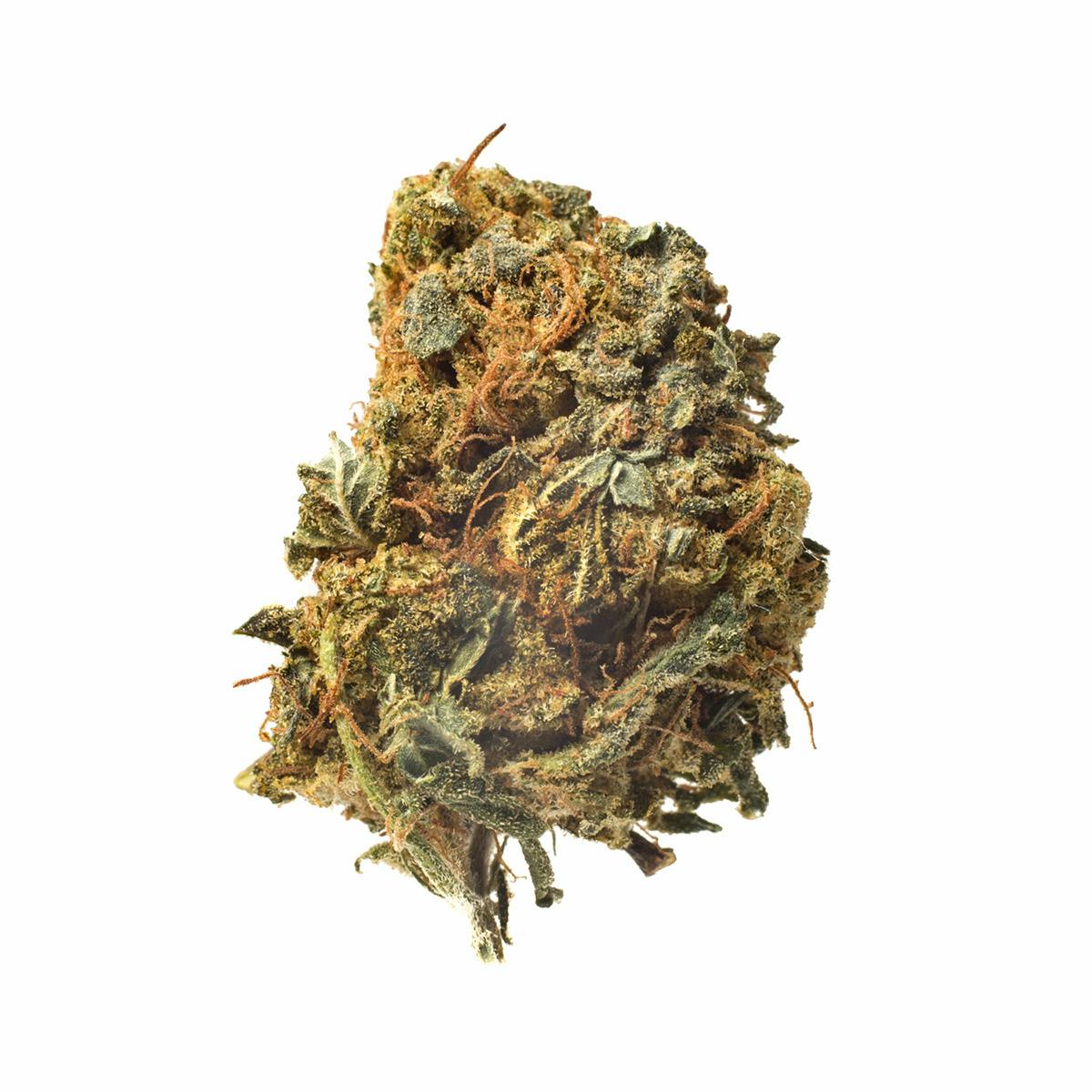 Meeting MaryJane - Sage - 1