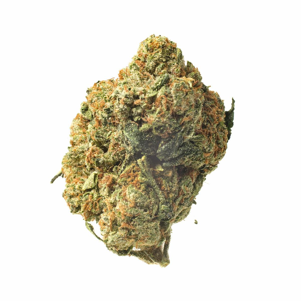 Meeting MaryJane - SFV - 1