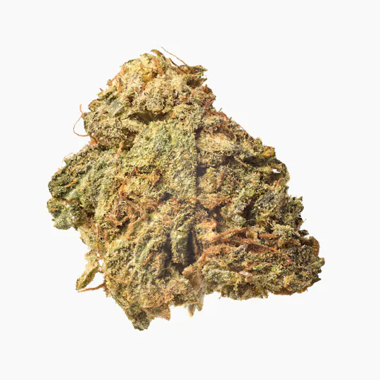 Meeting MaryJane - Tahoe Frostbite - 1