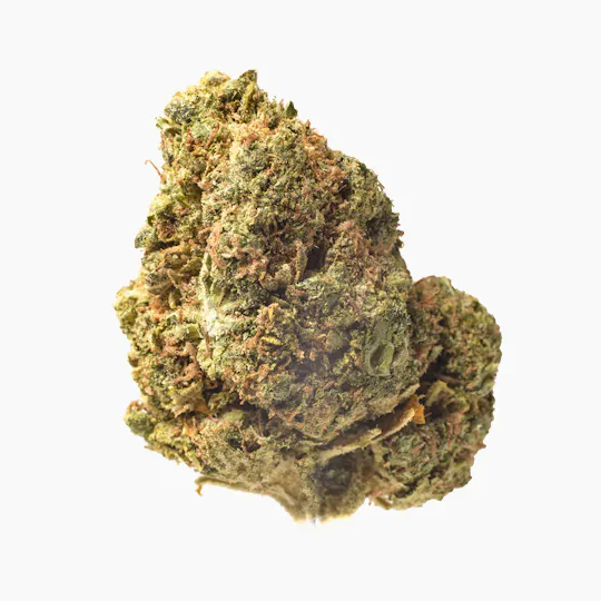 Meeting MaryJane - Violet Delight - 1