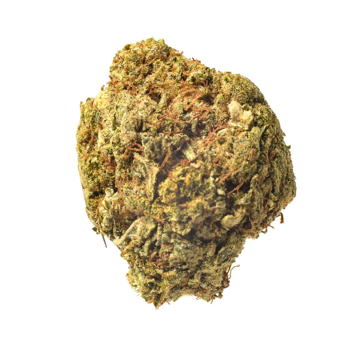 Meeting MaryJane - Walrus Kush - 1