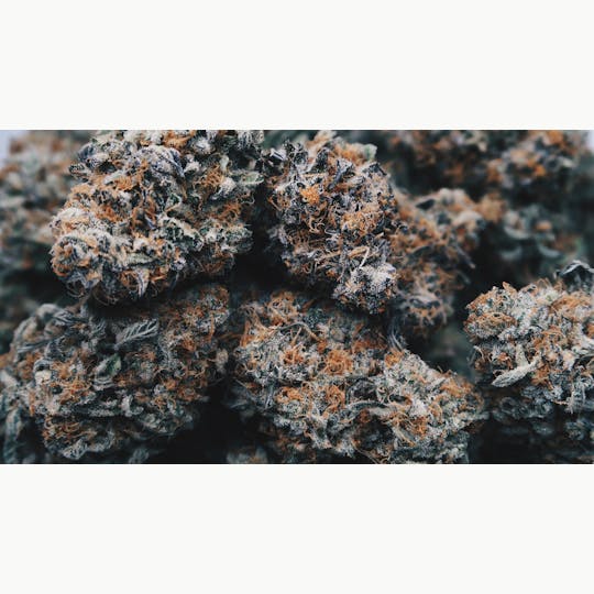 High Tide Organics - Mendo Breath - 1