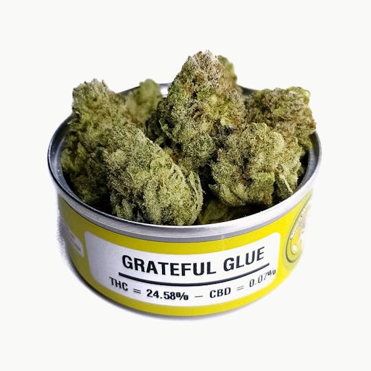 Space Monkey Meds - Grateful Glue - 1
