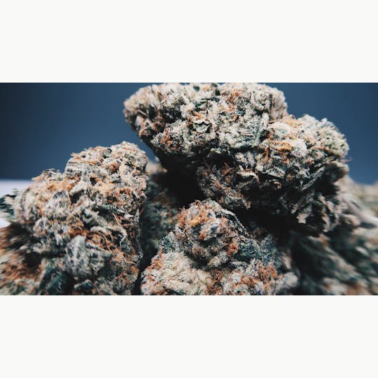 High Tide Organics - Do-Si-Dos - 1