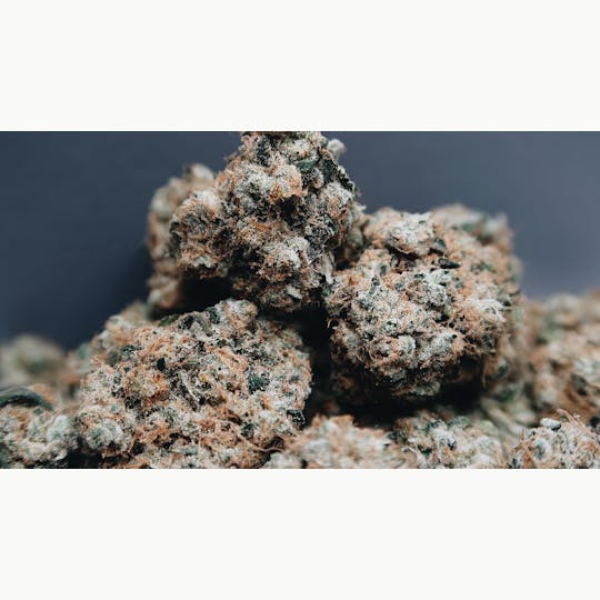 High Tide Organics - Sour Sherbert - 1