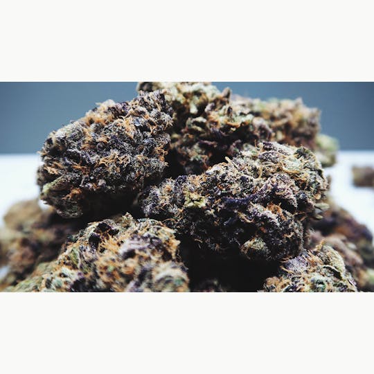 High Tide Organics - Sunset Sherbert - 1