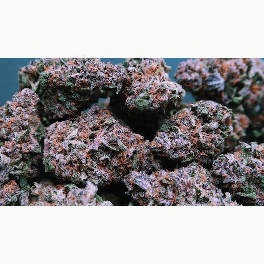 High Tide Organics - Blk Cherry Cola - 1