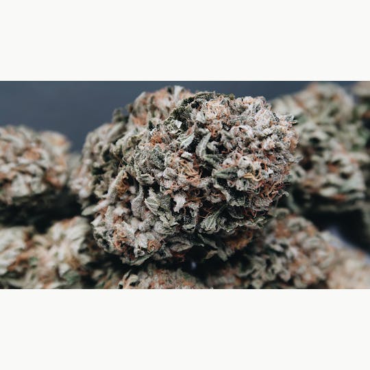 High Tide Organics - B.T.Y. OG - 1