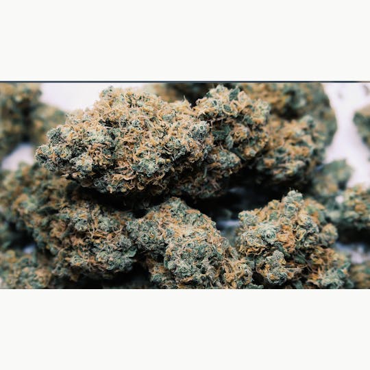 High Tide Organics - Blue Zkittles - 1
