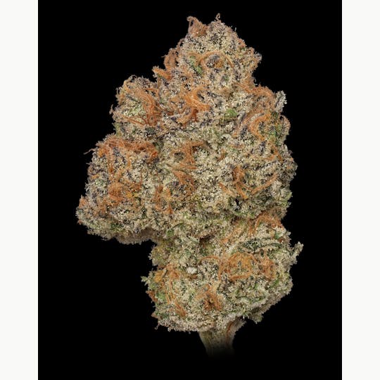 BAM Alaska - AK Cookies 14g Flower - 1