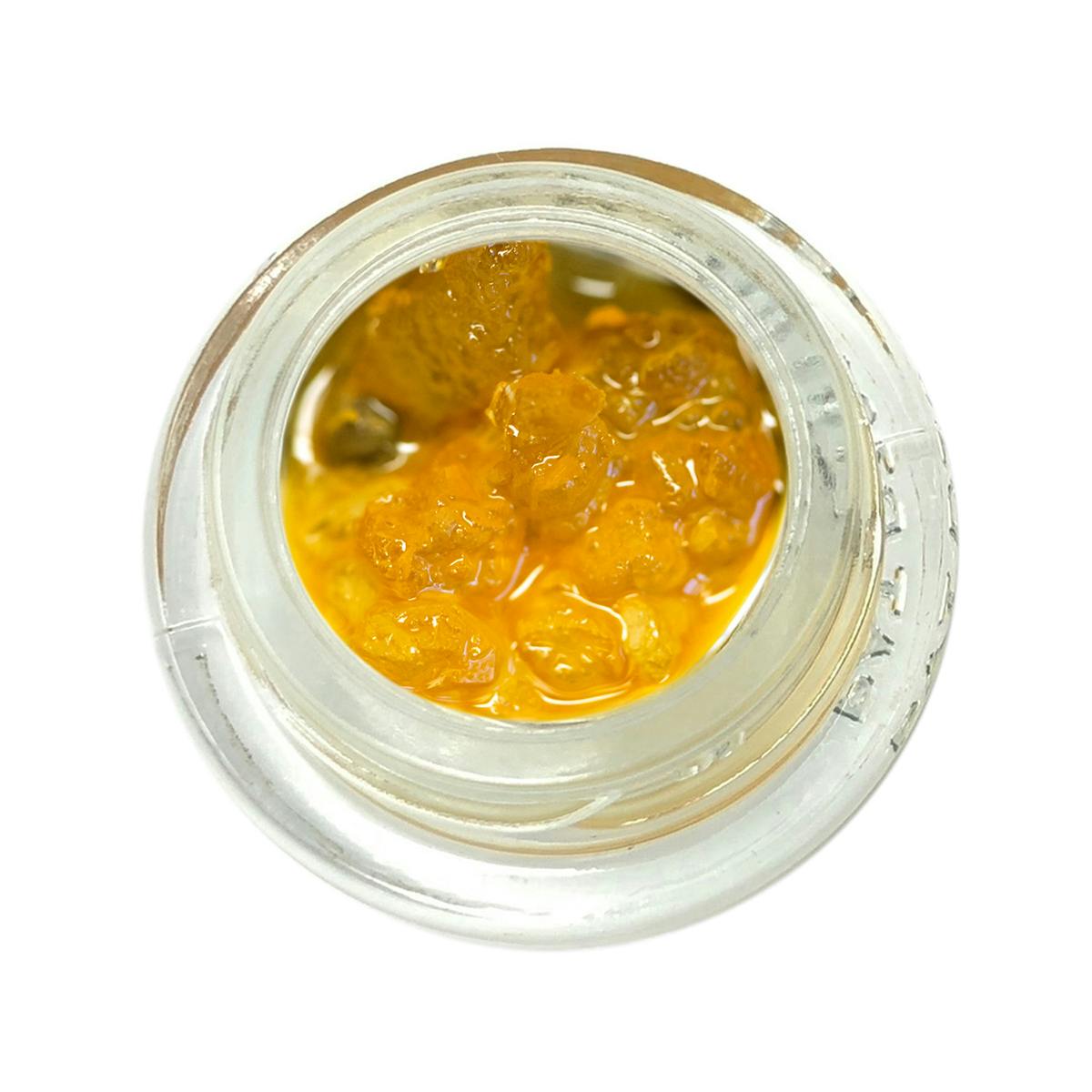 Head of Honey - Gary Coleman Honey Bucket - 1