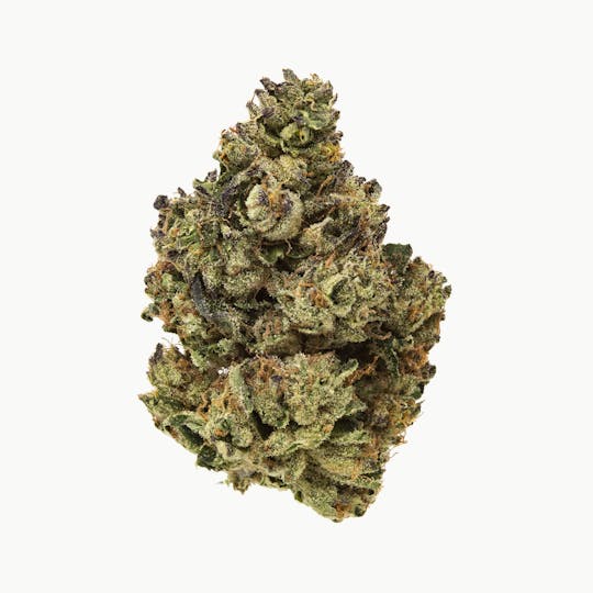 Kumba Hills Farms - Grand Slam - 1