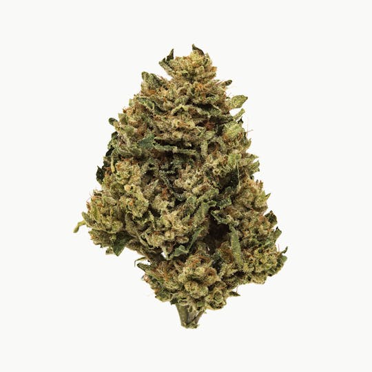 Kumba Hills Farms - Kumba | Kosher Kush | Flower - 1
