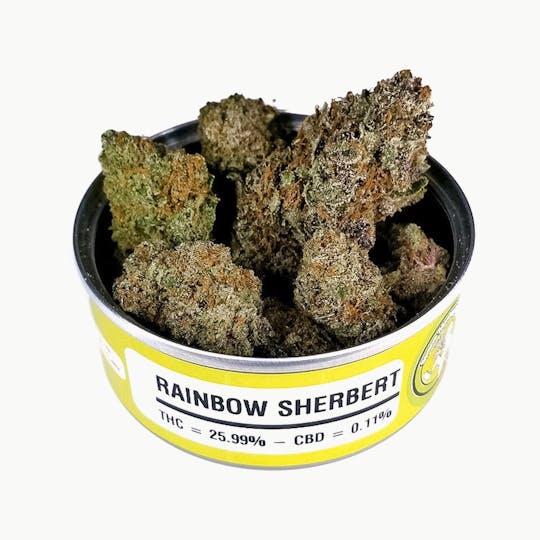 Space Monkey Meds - Rainbow Sherbert - 1