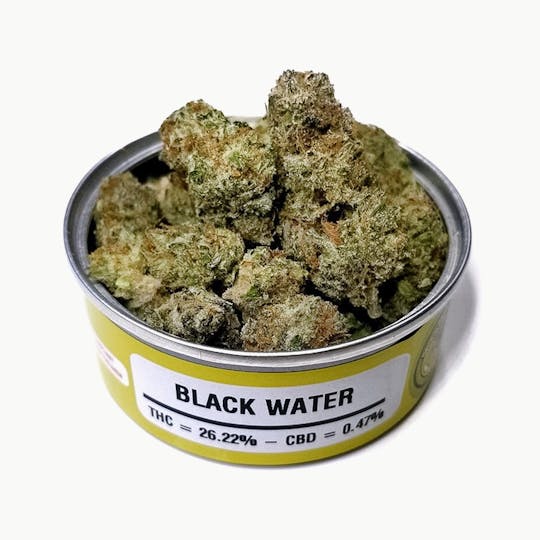 Space Monkey Meds - Black Water - 1