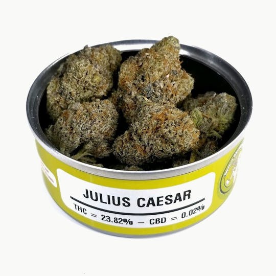Space Monkey Meds - Julius Caesar - 1