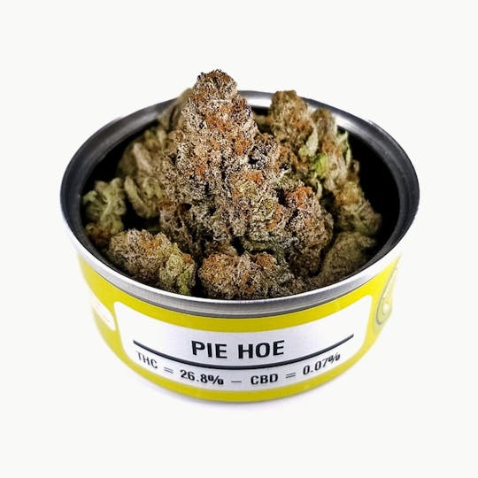 Space Monkey Meds - Pie Hoe - 1
