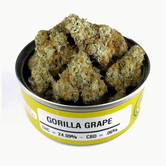 Space Monkey Meds - Gorilla Grape - 1