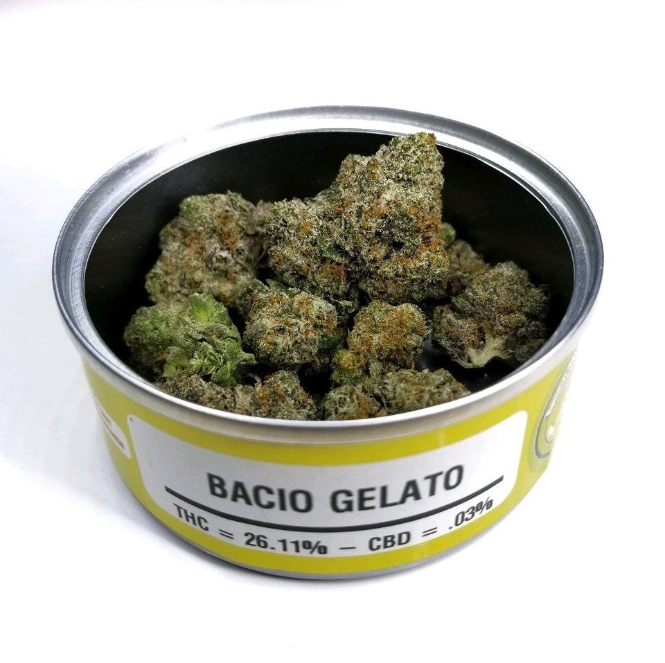 Space Monkey Meds - Bacio Gelato - 1