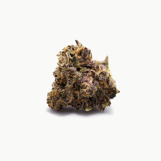 Tryke - Blue Sherbert - 1