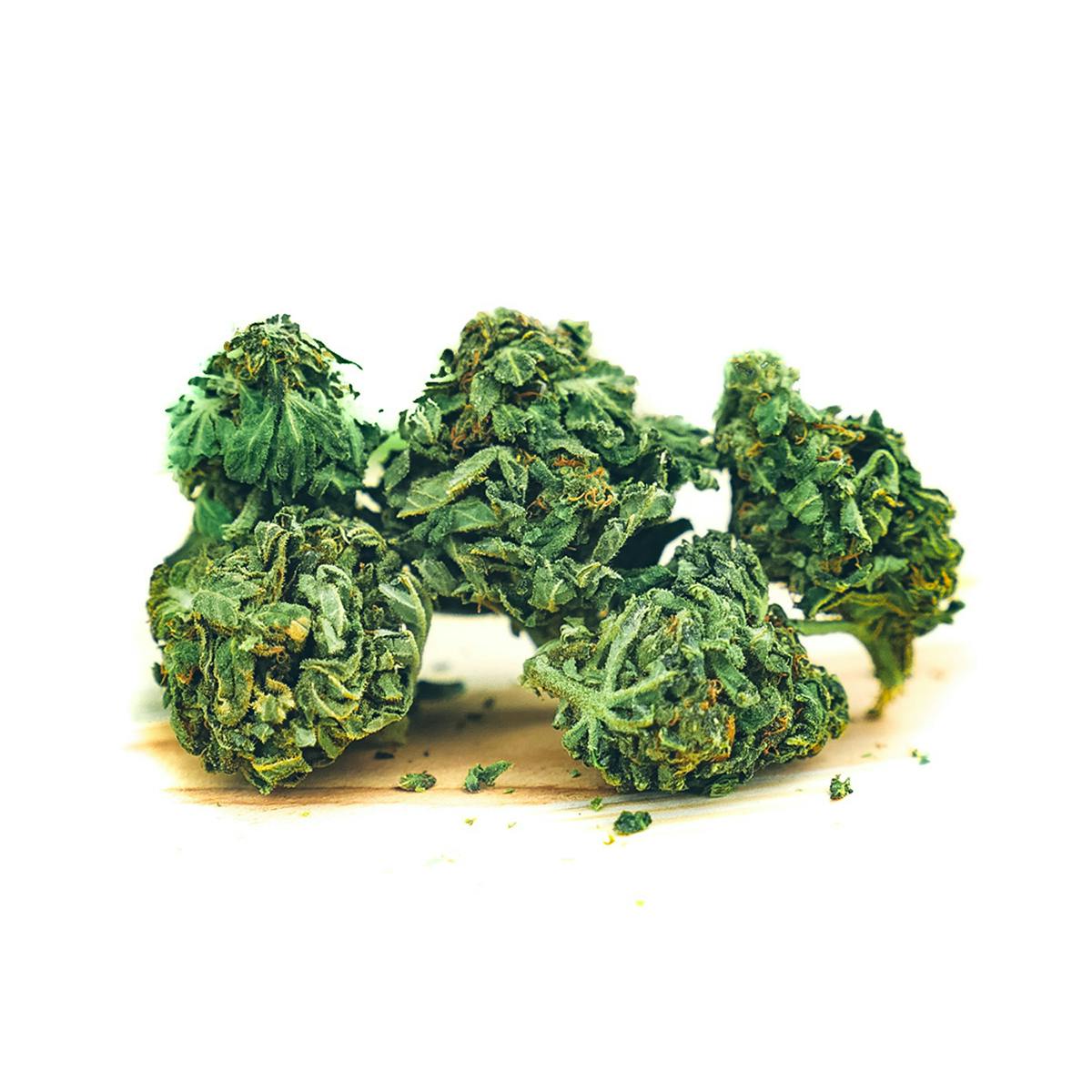 Hanfbar - Waldspaziergang - 1