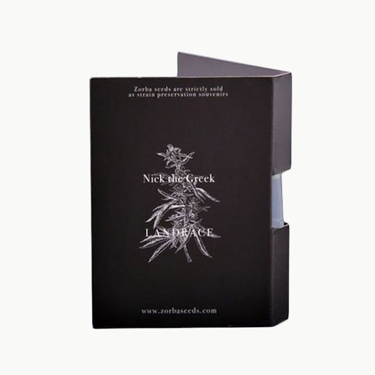 Zorba Seeds - Nick the Greek - 1