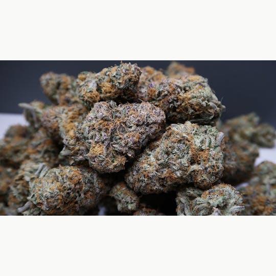 High Tide Organics - Fruit Punch - 1
