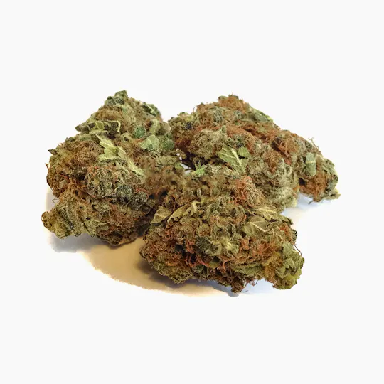Valtiva - Green Wallis - 1