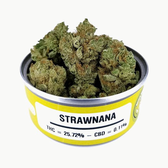 Space Monkey Meds - Strawnana - 1