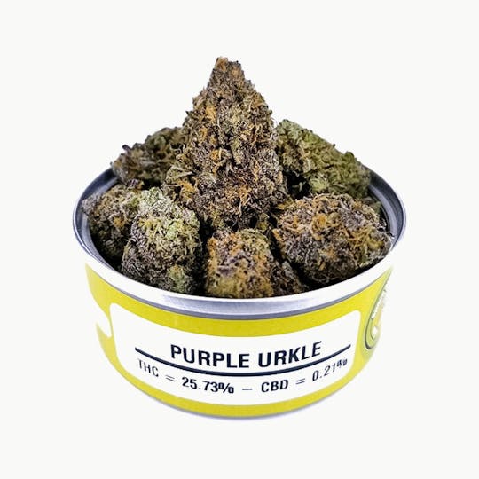 Space Monkey Meds - Purple Urkle - 1